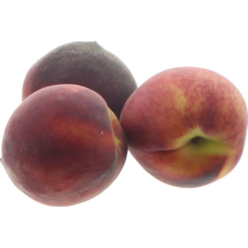 PECHE BLANCHE CORSE KG